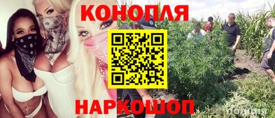 крисы Бугуруслан