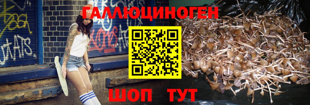 Кодеин Майкоп