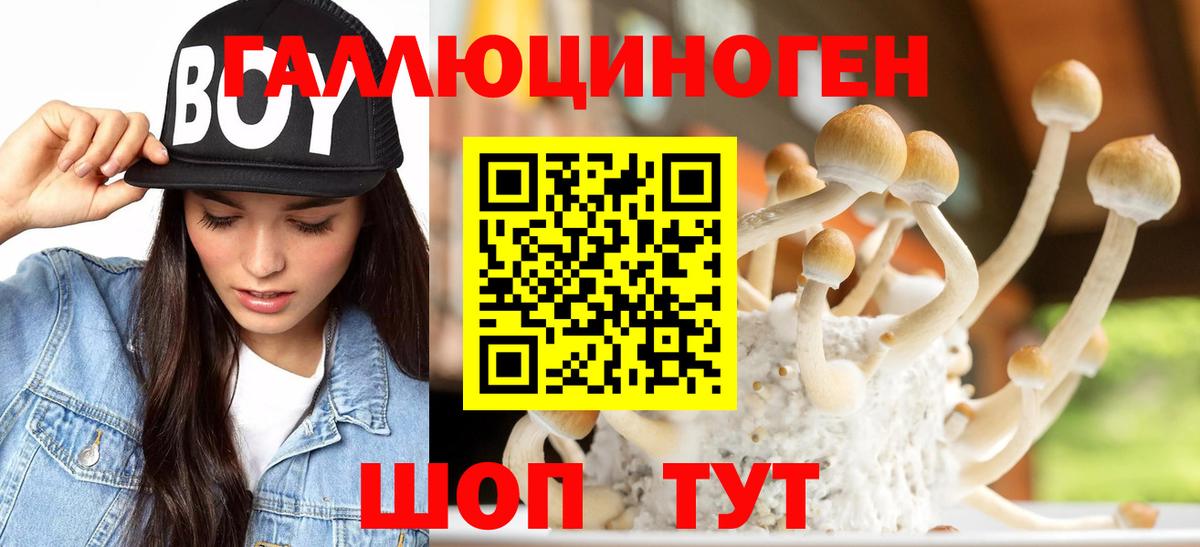 Майкоп  Галлюциногенные грибы Magic Shrooms  Вход с VPN 